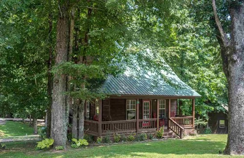 Counce Cabin | Cozy Cabin - Pickwick Lake & Dam