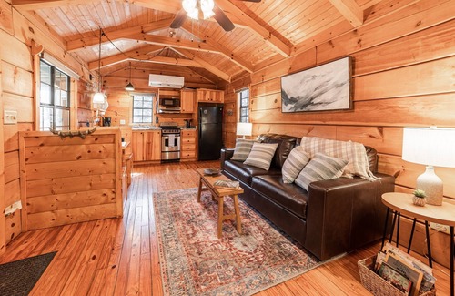 Hot Springs Cabin | Cozy Cabin w/Hot Tub & Fenced in Yard for Pets