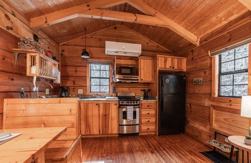 Hot Springs Cabin | Cozy Cabin w/Hot Tub & Fenced in Yard for Pets