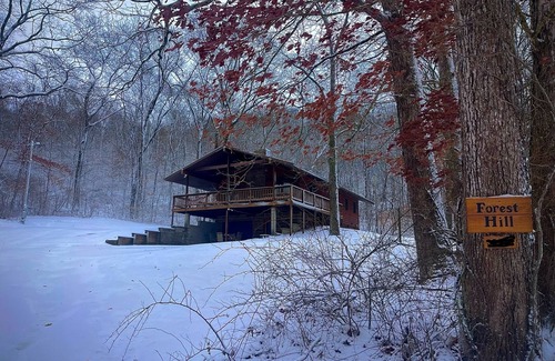Blissfield Cabin | Cozy cabin with indoor fire place