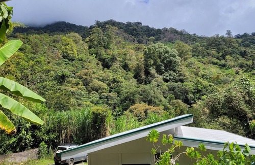 Rivas House | Cozy Casita close to nature with beautiful view