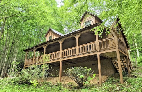 Asheville Cabin | Cozy Cove Cabin: 3BR 2BA Modern Comfort Meets Rustic Charm