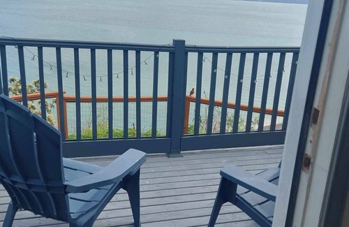 Camano Island Apartment | Cozy Cove: tiny home with an amazing view!