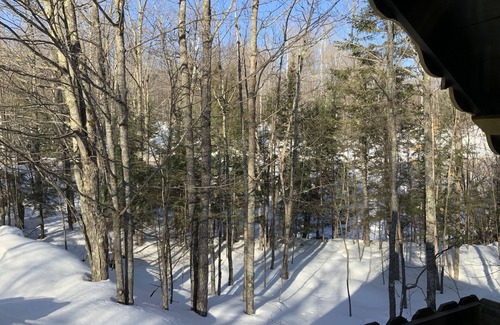 Bessemer Ski Chalet | Cozy creekside cabin near Big Powderhorn's Lift #1 & Recreational Trail #2!