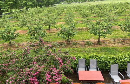Volkach Apartment | Cozy double room surrounded by vineyards