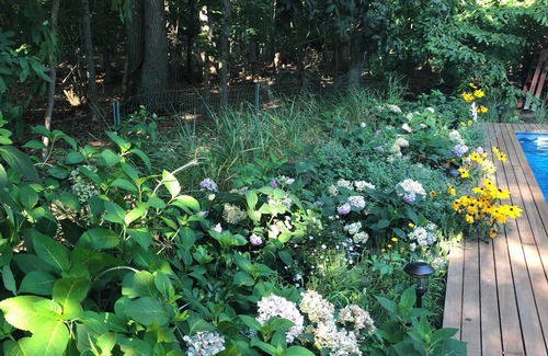 East Hampton North Apartment | Cozy en-suite in beautiful East Hampton with AC, WiFi