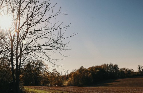 Wheeler Other | Cozy farmhouse nestled on 42 acres.