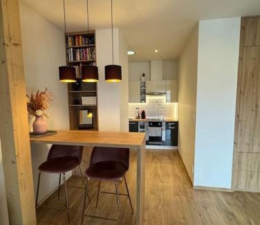 Plzen Apartment | Cozy flat in the city center