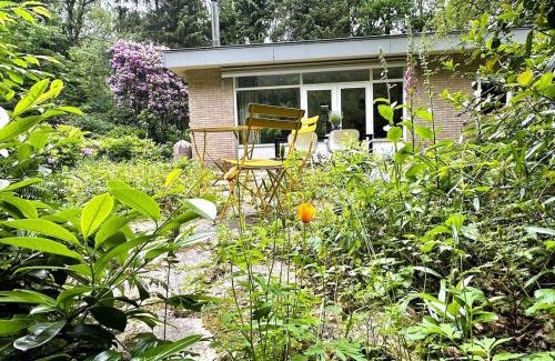 Wateren House | Cozy forest house ideal for relaxing