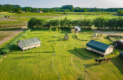 De Bus House | Cozy Glamping in Limburg