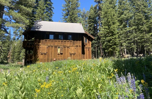 Bear Valley Cabin | Cozy Historic Bear Valley Cabin