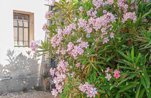 Arles House | Cozy home in Arles with WiFi
