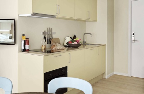 Copenhagen City Centre Apartment | Cozy Hotel Apartment Facing Inner Courtyard