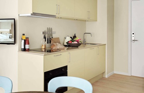 Copenhagen City Centre Apartment | Cozy Hotel Apartment Facing Inner Courtyard