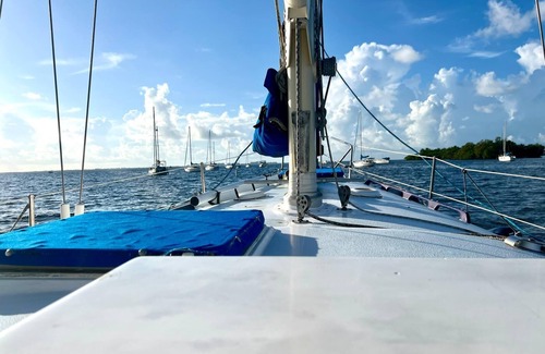 Coconut Grove Boat Rental | Cozy Houseboat in Vibrant Miami with AC and WiFi