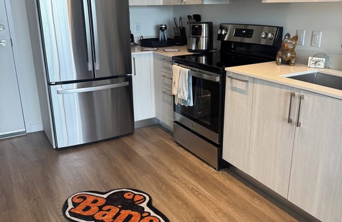 Allapattah Condo | Cozy luxury Pent House 1 bedroom 1 bath Miami FL Wynwood area.