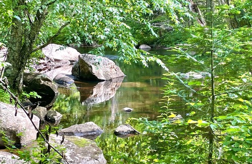 Mauricie Cottage | Cozy mini ski retreat or hiking paradise for nature lovers. Pet friendly.n