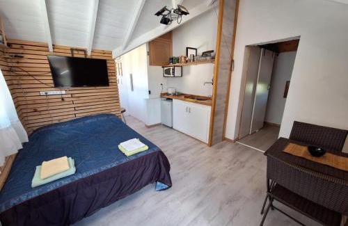 San Martin de los Andes Apartment | Cozy mono SMA