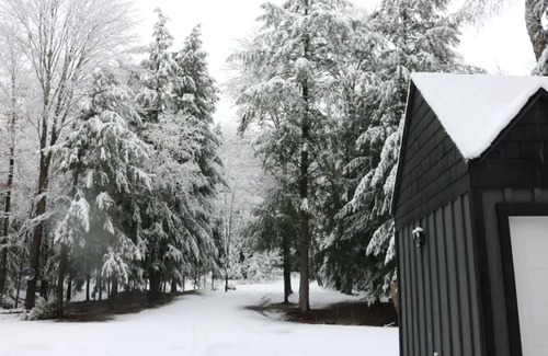 Bracebridge Cottage | Cozy Muskoka Waterfront Cottage - Hot tub & Fenced In Yard