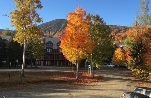 Carrabassett Valley Apartment | Cozy~ON LIFT~Studio~Sugarloaf Views~Walk to it All!