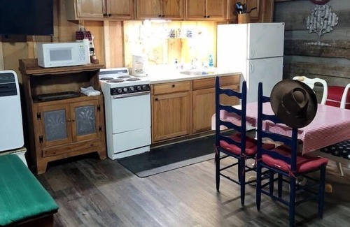 Greeneville Cabin | Cozy Patriotic Cabin