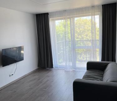 Snipiskes Apartment | Cozy place near old town