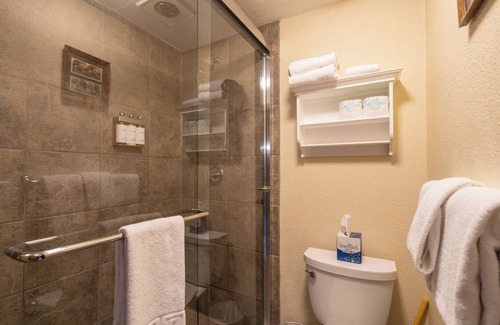 Telluride Hotel | Cozy Private Lofted Room in Great Telluride Location