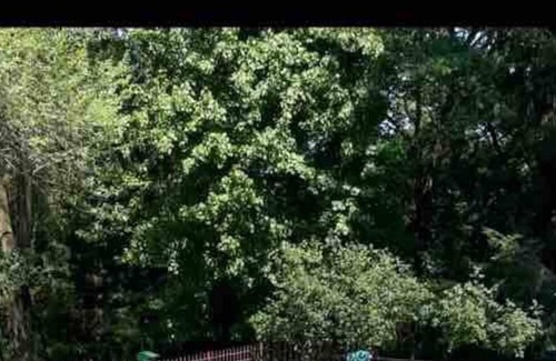 Hudson Apartment | Cozy private unit with hot tub, sauna, gas fireplace and jacuzzi