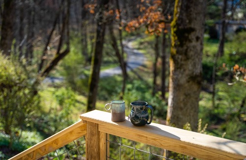 Brevard House | Cozy Relaxing Escape w/Fire Pit - Dog Friendly - 7 minutes to Downtown Brevard