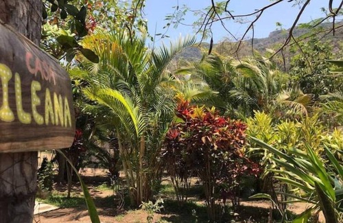 Puerto Vallarta Cottage | Cozy rustic casita located 5 minutes away from the river.