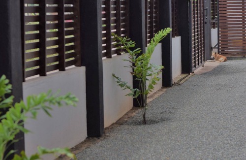 Hikkaduwa Apartment | Cozy Sea View Inn