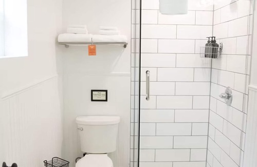 Pagosa Springs Hotel | Cozy Single Queen Room, The Nightingale Motel, Mountain Views, Downtown Spot