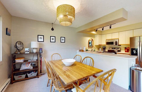 North Troy Condo | Cozy Ski-in/Ski-out condo w/balcony, mountain views, gas fireplace, w/d, wifi