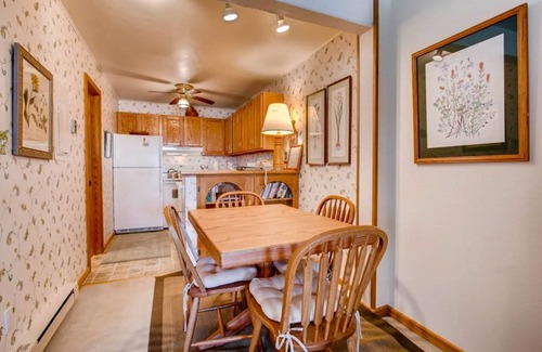 Crested Butte Apartment | Cozy Slopeside Condo | Private Balcony & Fireplace