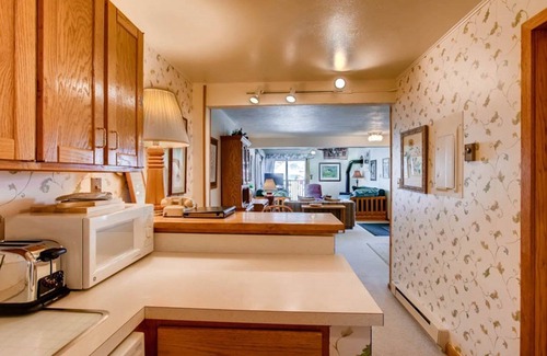 Crested Butte Apartment | Cozy Slopeside Condo | Private Balcony & Fireplace