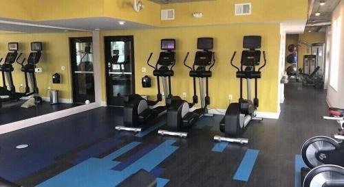 Shockoe Bottom Apartment | Cozy & Spacious Gem downtown Richmond, mins to VCU