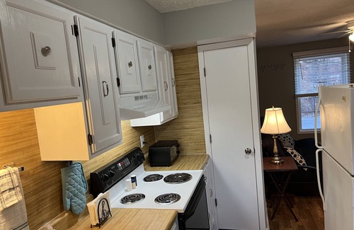 Bluewell Apartment | Cozy Spurrier Unit 6 1 bed 1 bath Pets Welcome FREE WiFi