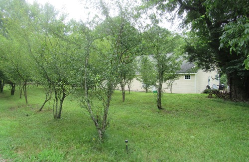 Concord Apartment | Cozy Studio Country Peaceful Charm Concord 2 Minute to Cabarrus Arena