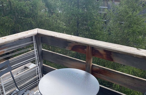 Orcieres-Merlette Apartment | Cozy Studio for 2 in Heart of Merlette - Near Pistes & Shops!