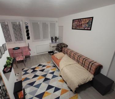 Fleury-les-Aubrais Apartment | Cozy studio, proche gare des aubrais