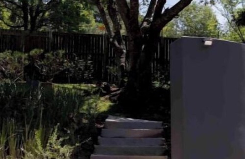 Kloof Apartment | Cozy & Stylish 1-Bedroom Studio Apartment