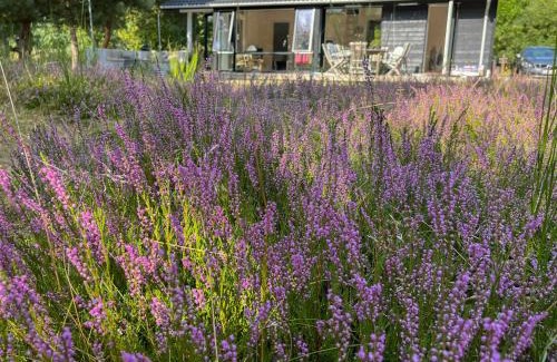 Nykobing Sjaelland House | Cozy Summer House In Peaceful Nature Near Rørvig