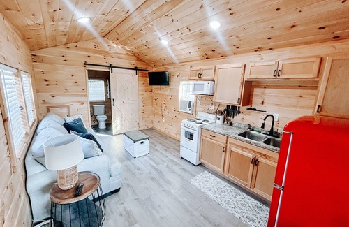 Elgin Apartment | Cozy tiny cabin in Petros -Windrock