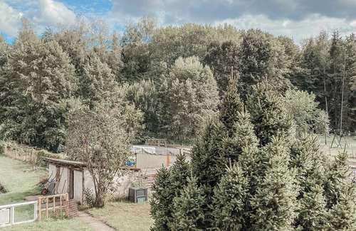 Erlenbach bei Dahn Apartment | Cozy vacation apartment in the Dahner Felsenland. Perfect for hiking!