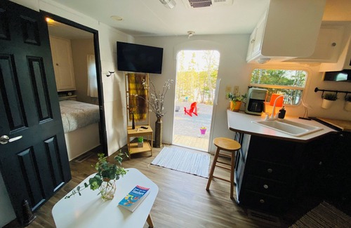 Lepreau House | Cozy waterfront property nestled amongst spruce trees.nPet friendly.