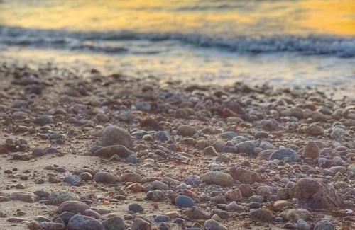 Falmouth Cottage | CozyCottage@FrederickWilliamHouse, on ShiningSea Bikeway, Bikes Included