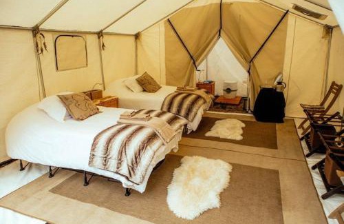 Clarkston Other | COZYYTENT