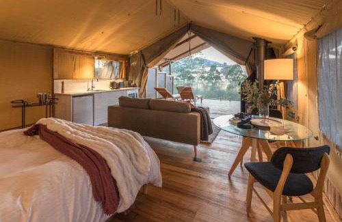 Clarkston Other | COZYYTENT