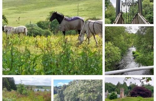 Dalmellington Other | Craigengillan Mini Lodge