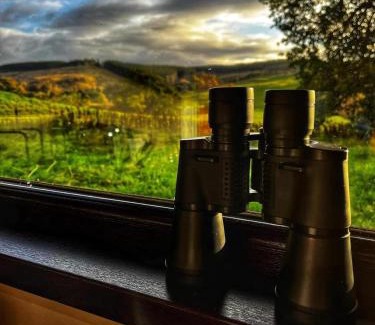 Dalmellington Other | Craigengillan Mini Lodge